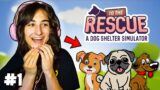 NEW GAME! To The Rescue: A Dog Shelter Simulator
